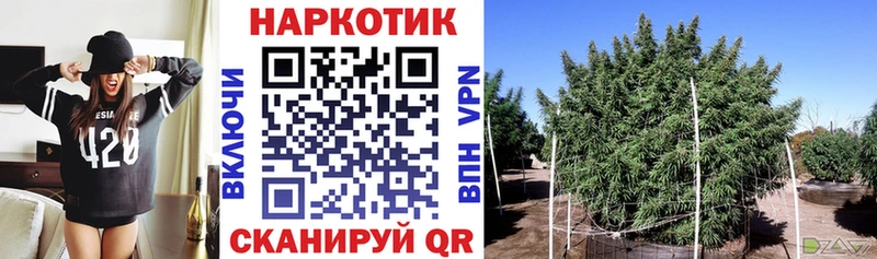 Купить закладку Псилоцибиновые грибы СК Меф мяу мяу ТГК КОКАИН Гашиш Каннабис Зерноград