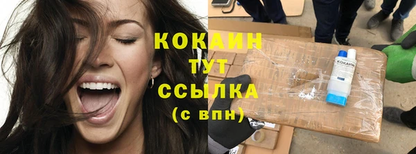 сатива Гусиноозёрск