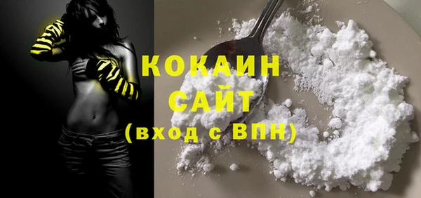 стаф Гусев