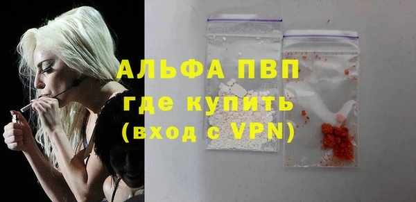 стаф Гусев