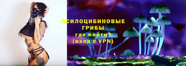 сатива Гусиноозёрск