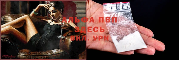 сатива Гусиноозёрск