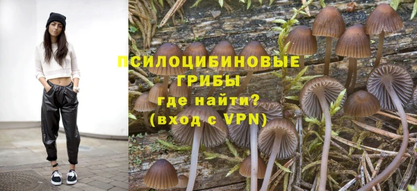 2c-b Гусь-Хрустальный