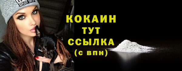 стаф Гусев