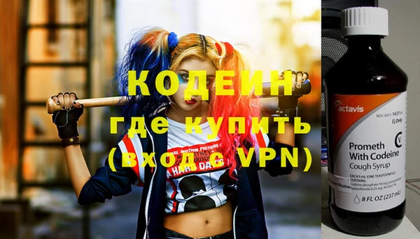 стаф Гусев