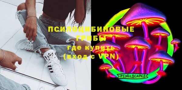 сатива Гусиноозёрск