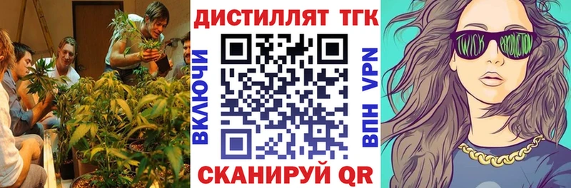 Купить закладки  Зерноград  Дистиллят ТГК Wax 