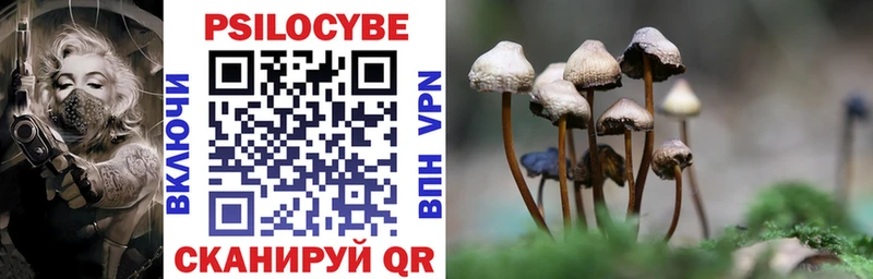 Псилоцибиновые грибы Psilocybe  Купить  Зерноград 